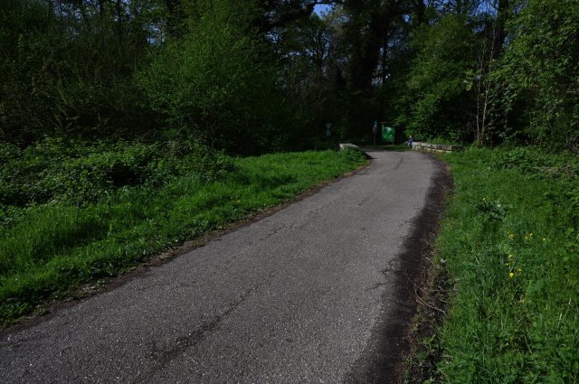 0001-2025-04-19-10-10-24-dsc_1233