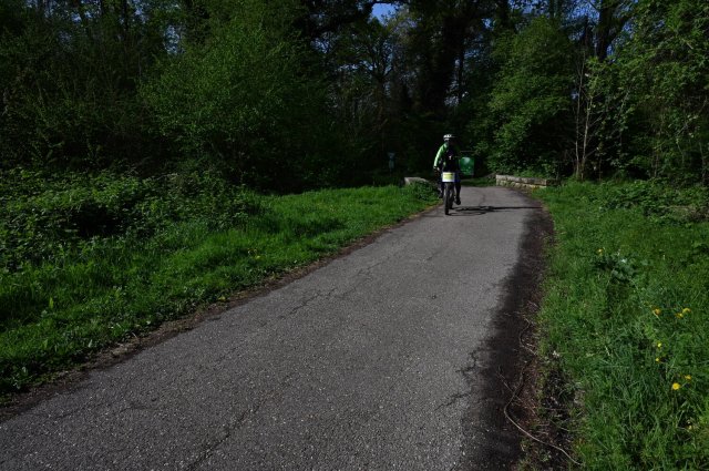 0002-2025-04-19-10-11-31-dsc_1234