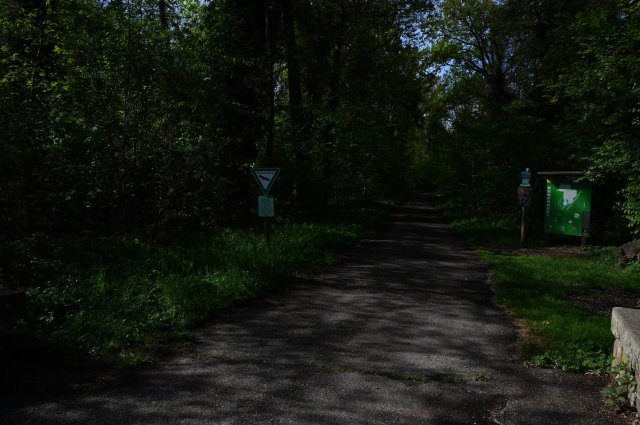 0007-2025-04-19-10-12-31-dsc_1239