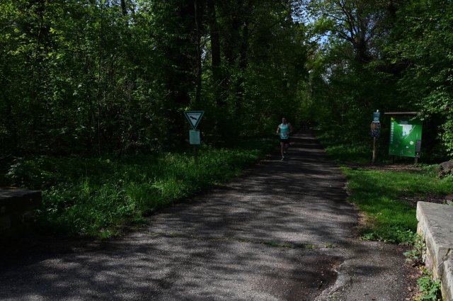 0010-2025-04-19-10-13-25-dsc_1242