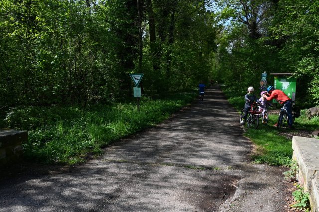 0013-2025-04-19-10-13-49-dsc_1245