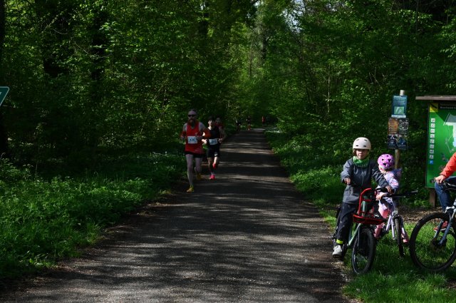 0015-2025-04-19-10-13-59-dsc_1247