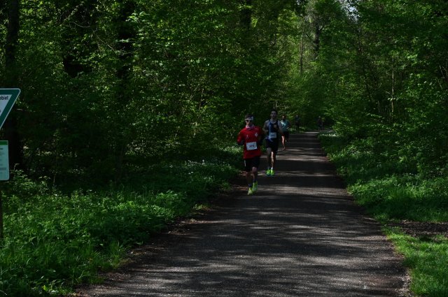 0019-2025-04-19-10-14-22-dsc_1251