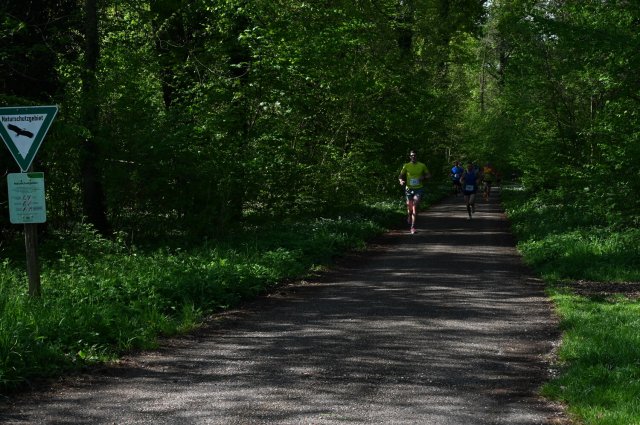 0023-2025-04-19-10-14-44-dsc_1255