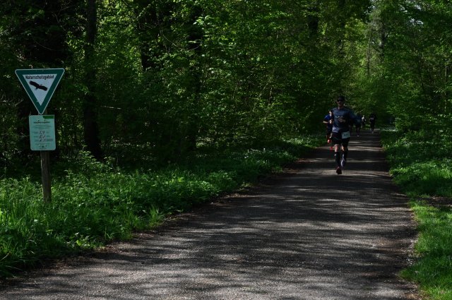 0036-2025-04-19-10-15-30-dsc_1268