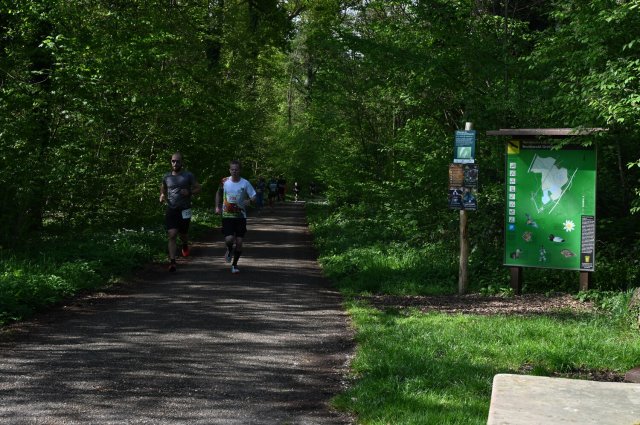 0041-2025-04-19-10-15-49-dsc_1273