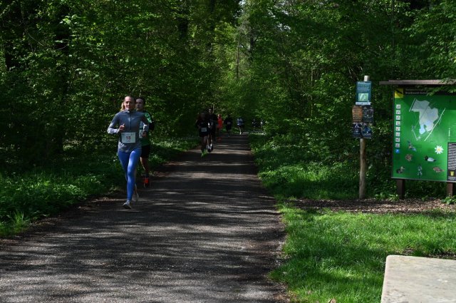 0042-2025-04-19-10-15-59-dsc_1274