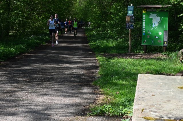 0048-2025-04-19-10-16-25-dsc_1280