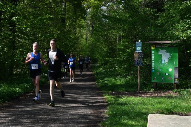 0050-2025-04-19-10-16-32-dsc_1282