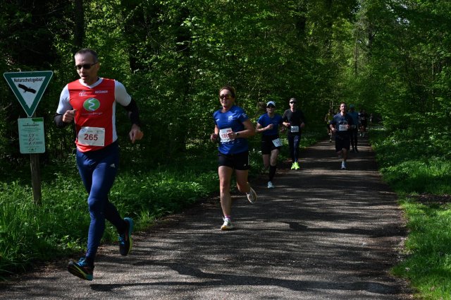 0051-2025-04-19-10-16-34-dsc_1283