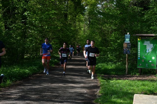 0055-2025-04-19-10-16-45-dsc_1287