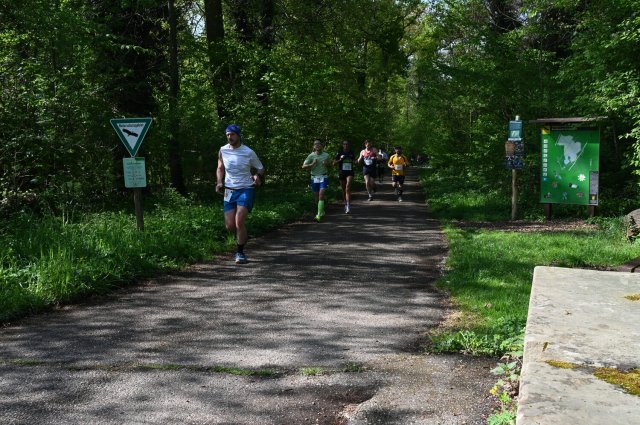 0057-2025-04-19-10-16-51-dsc_1289