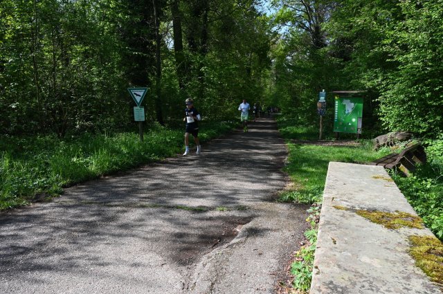 0059-2025-04-19-10-16-57-dsc_1291