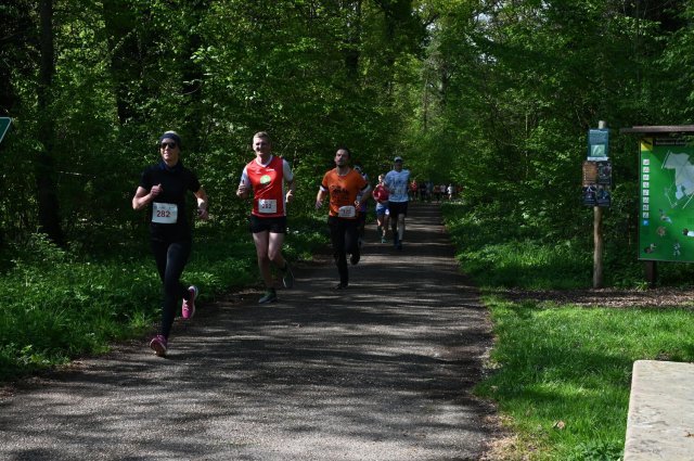 0064-2025-04-19-10-17-22-dsc_1296