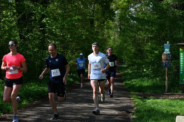 0071-2025-04-19-10-17-42-dsc_1303