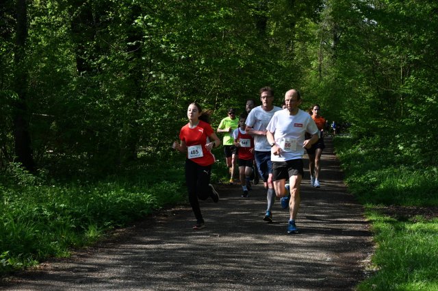 0073-2025-04-19-10-17-47-dsc_1305