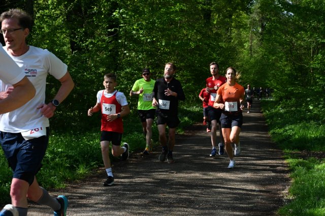 0074-2025-04-19-10-17-49-dsc_1306