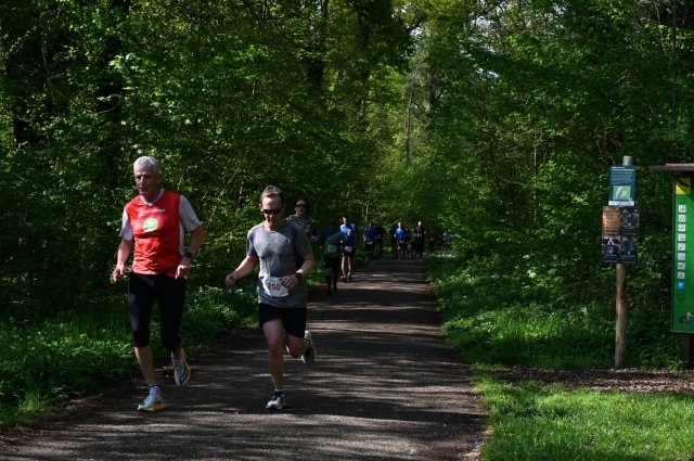 0076-2025-04-19-10-17-57-dsc_1308