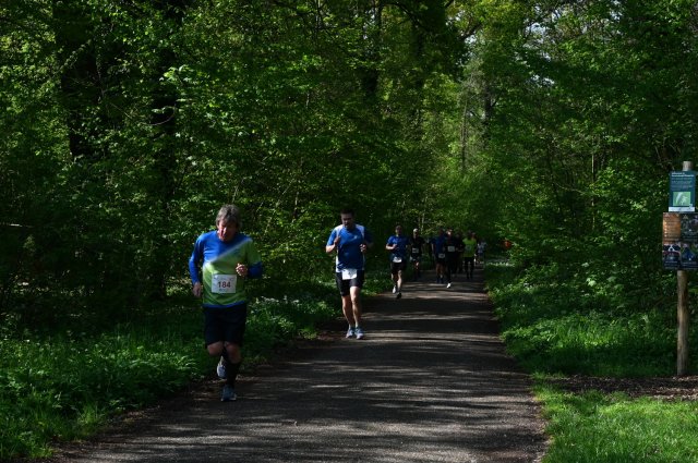 0078-2025-04-19-10-18-02-dsc_1310