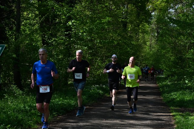 0080-2025-04-19-10-18-13-dsc_1312