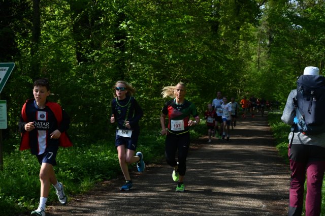 0085-2025-04-19-10-18-25-dsc_1317