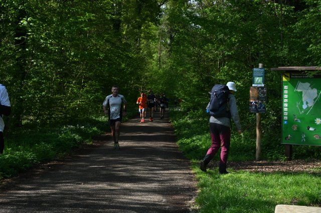 0087-2025-04-19-10-18-29-dsc_1319