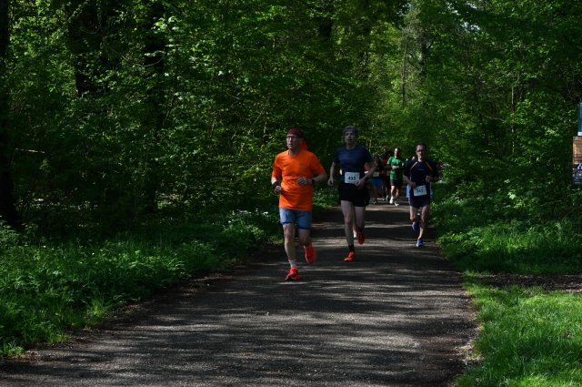 0089-2025-04-19-10-18-37-dsc_1321