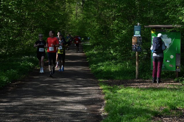 0094-2025-04-19-10-18-53-dsc_1326