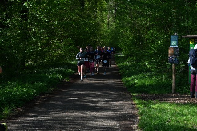 0098-2025-04-19-10-19-04-dsc_1330