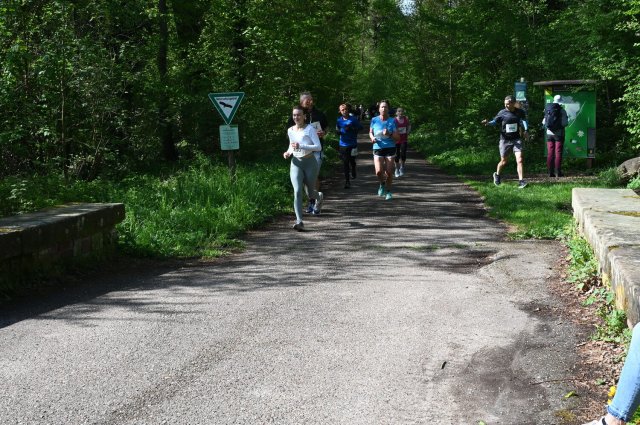 0108-2025-04-19-10-19-46-dsc_1340