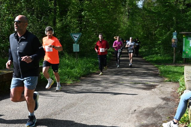 0145-2025-04-19-10-21-47-dsc_1377