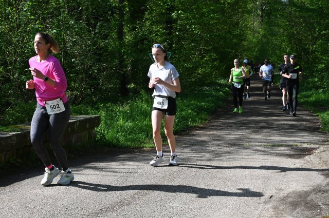 0146-2025-04-19-10-21-50-dsc_1378