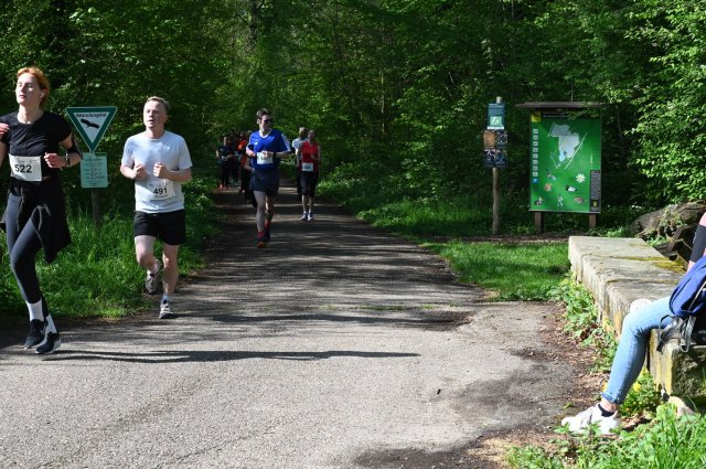 0163-2025-04-19-10-22-35-dsc_1395