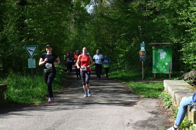 0165-2025-04-19-10-22-40-dsc_1397