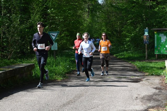 0178-2025-04-19-10-23-08-dsc_1410