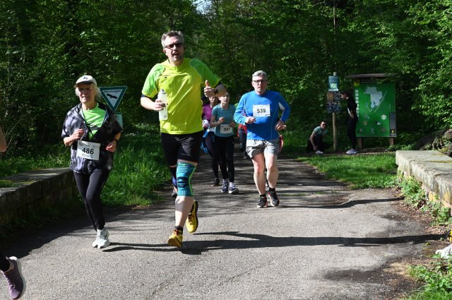 0218-2025-04-19-10-26-12-dsc_1450