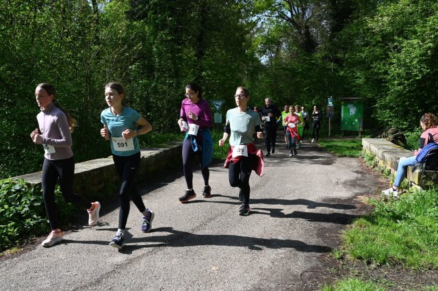 0219-2025-04-19-10-26-16-dsc_1451