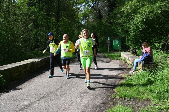 0222-2025-04-19-10-26-20-dsc_1454