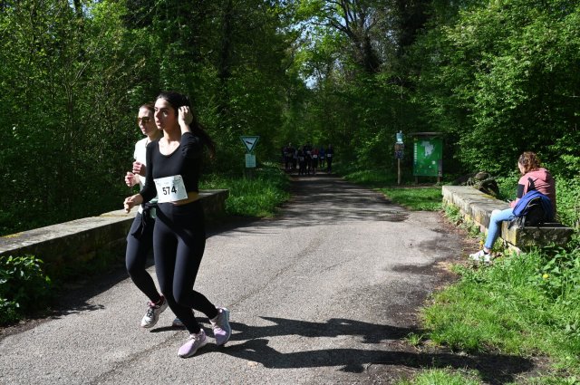 0223-2025-04-19-10-26-22-dsc_1455