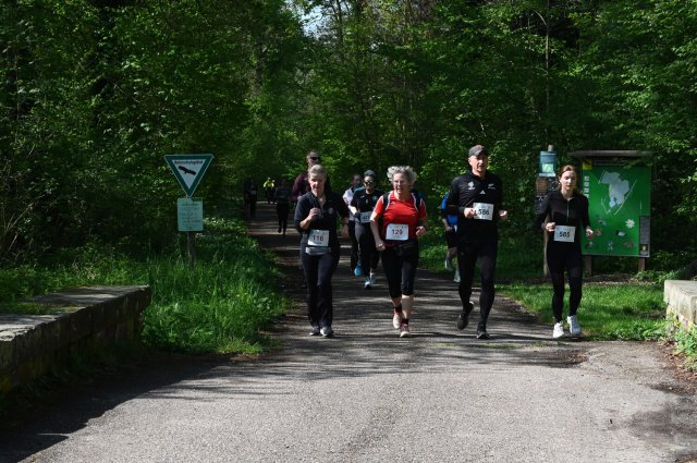 0224-2025-04-19-10-26-29-dsc_1456