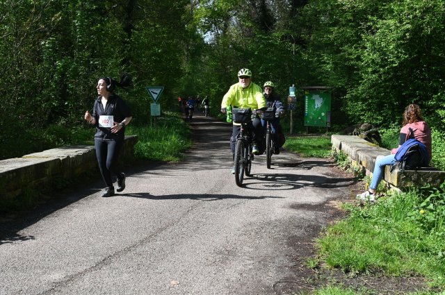 0228-2025-04-19-10-26-49-dsc_1460