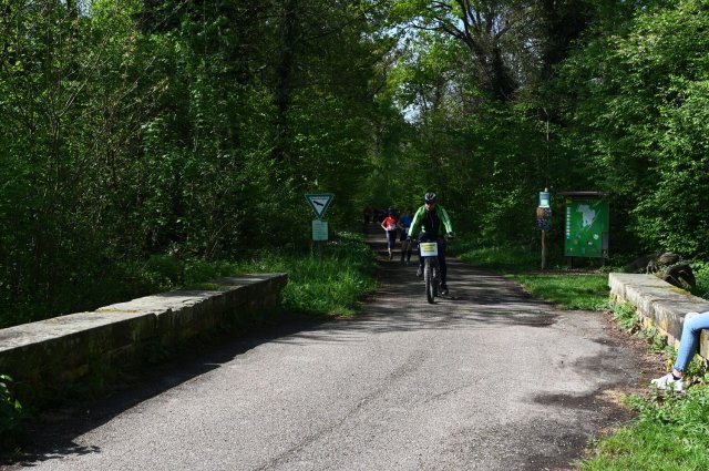 0230-2025-04-19-10-26-54-dsc_1462