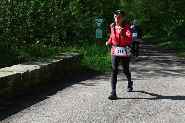 0265-2025-04-19-10-32-06-dsc_1497