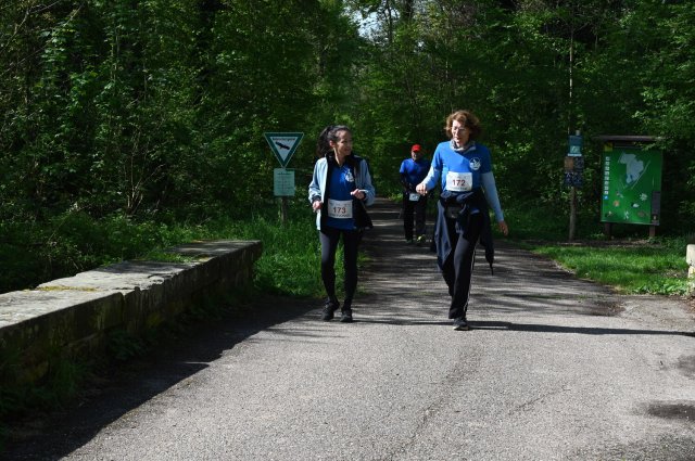 0277-2025-04-19-10-33-22-dsc_1509