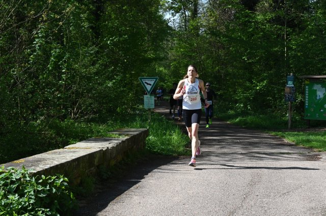 0321-2025-04-19-10-38-15-dsc_1553