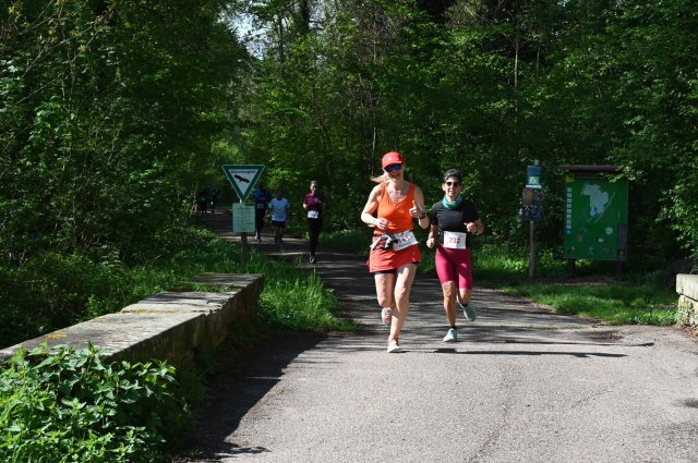 0393-2025-04-19-10-44-11-dsc_1626