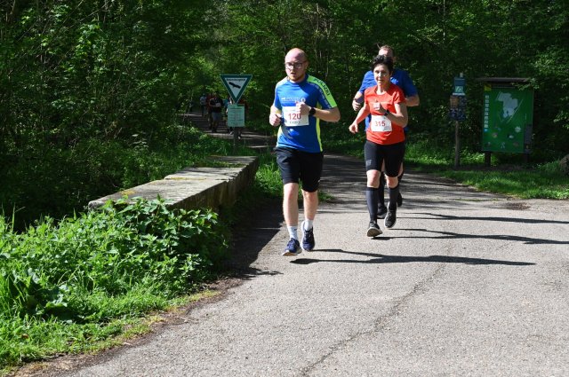 0440-2025-04-19-10-48-20-dsc_1673