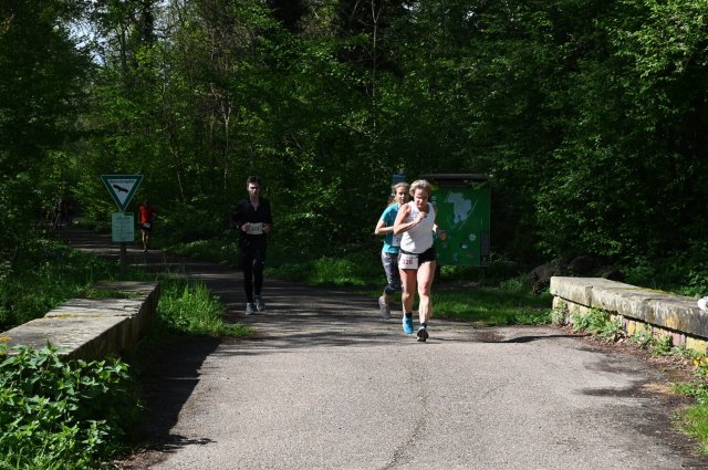 0493-2025-04-19-10-52-35-dsc_1726