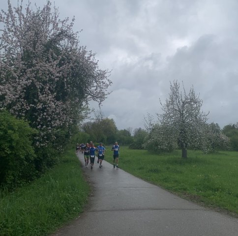 0002-2026-04-19-10-23-04-img_7640