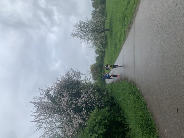 0003-2026-04-19-10-24-05-img_7641